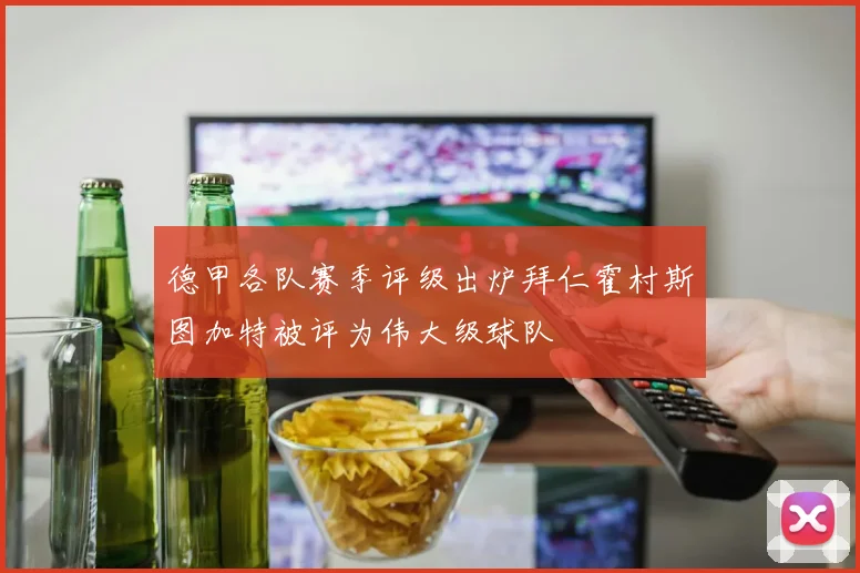 德甲各队赛季评级出炉拜仁霍村斯图加特被评为伟大级球队