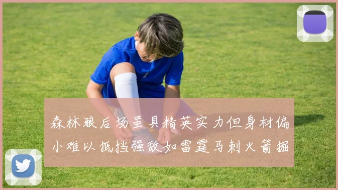 森林狼后场虽具精英实力但身材偏小难以抵挡强敌如雷霆马刺火箭掘金