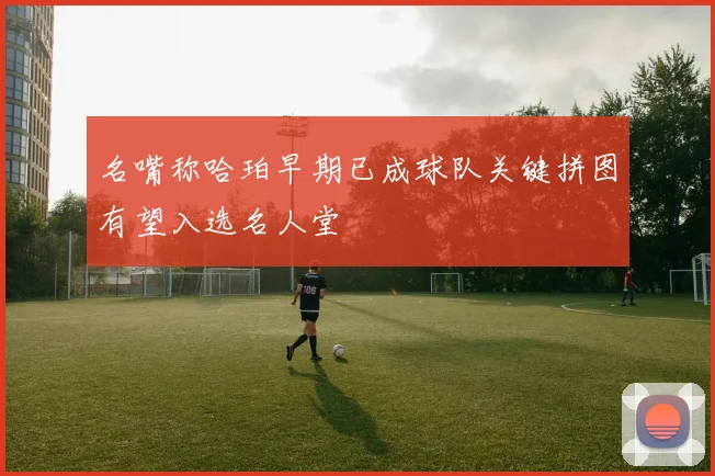 名嘴称哈珀早期已成球队关键拼图有望入选名人堂