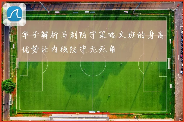 华子解析马刺防守策略文班的身高优势让内线防守无死角